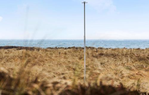 Lild Strand House | 3 Bedroom Pet Friendly Home In Frøstrup