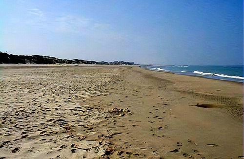 Stella-Plage Apartment | 3-bedroom sea view apartment in Stella-Plage, pets allowed