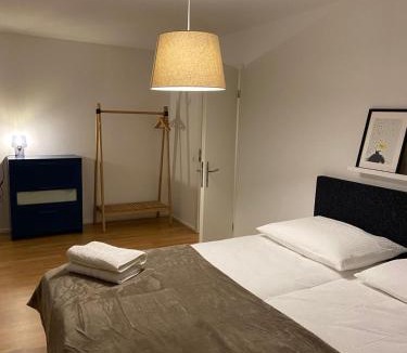 Alt-Wiedikon Apartment | 3 BR Duplex in Wiedikon