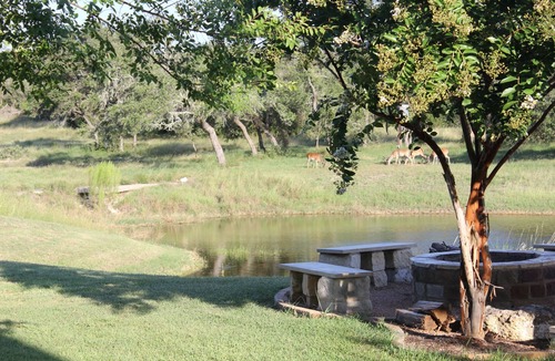 Driftwood House | 3 Detached Suites With Private Baths & AC, 5 King beds, Acreage, Pond, Firepit