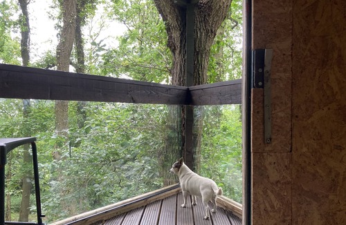 Longhope House | 3 Guests - Pet Friendly - Grid Tree-house