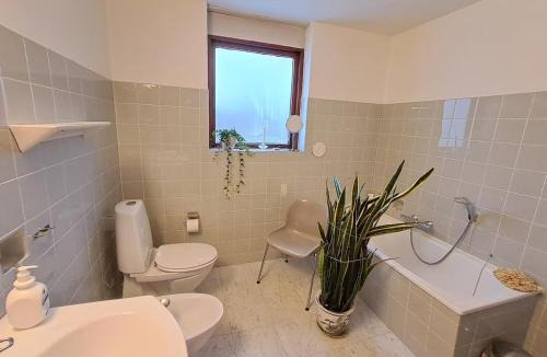 Frederikshavn Apartment | 3 min to forest with private kitchen, toilet and living room