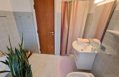 Frederikshavn Apartment | 3 min to forest with private kitchen, toilet and living room