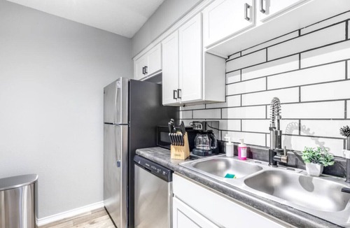 Central Arlington Apartment | 3 Min Walk to AT&T | 1BR | Parking + Pets + Gym