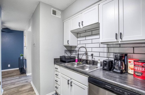 Central Arlington Apartment | 3 Min Walk to AT&T | 1BR | Parking + Pets + Gym
