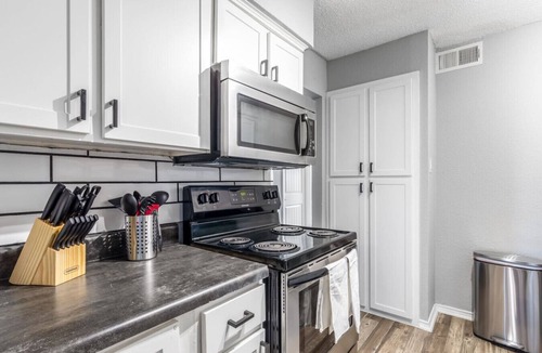 Central Arlington Apartment | 3 Min Walk to AT&T | 2BR | Parking + Pets + Gym