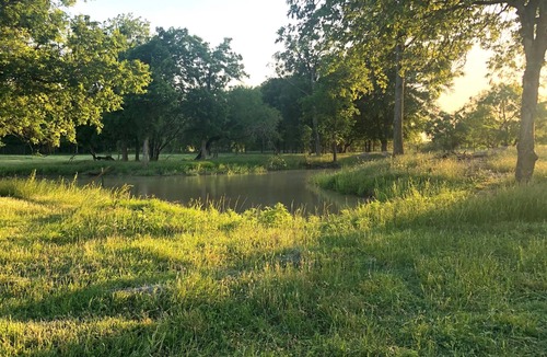 Waco RV Rental | 3 Person Tent on Waco Farm C5