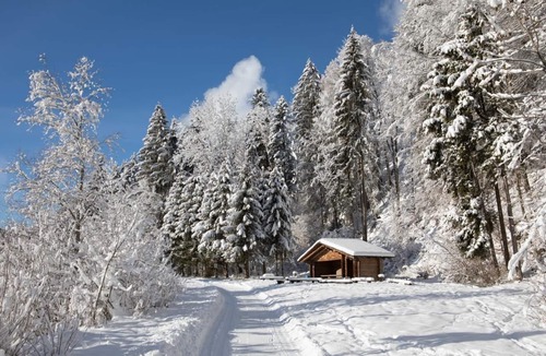 Frutigen Ski Chalet | 3-room apartment Gehrihornblick