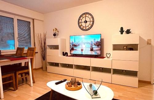 Wynau Apartment | 3-Room Apartment Up to 5 Guests Family Business Free WiFi Netflix Sky DAZN Disney Plus 1000 International TV Channels