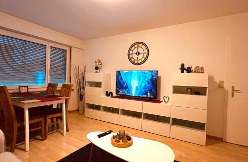 Wynau Apartment | 3-Room Apartment Up to 5 Guests Family Business Free WiFi Netflix Sky DAZN Disney Plus 1000 International TV Channels