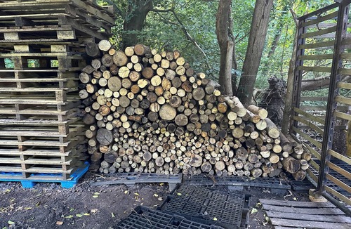 Seugy RV Rental | 3000m2 forest clearing!