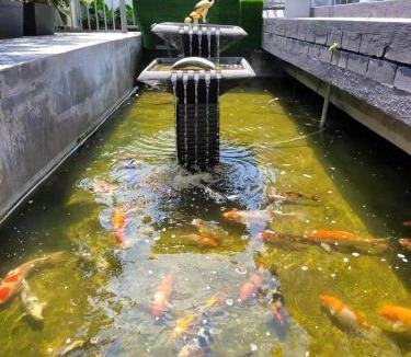 Larut House | 336 Guest House