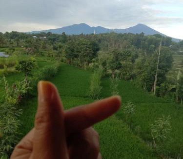 Kecamatan Sikur Cabin | 361 Alam