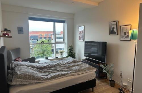 Vejle Apartment | 37-2-4 Dæmningen