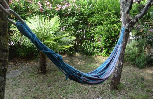 Montreal House | 37 au soleil