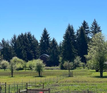 Toledo House | 3G Farms Studio