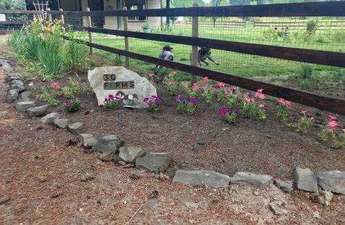 Toledo House | 3G Farms Studio