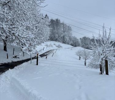 Killwangen Other | 3osobowym namiot