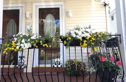 Winter Hill Apartment | 3RD Floor unit · Sun-Drenched, Quiet 3rd Floor,3 bedrooms