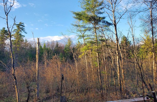 Idlewild House | 4 Bed 3 Bath Beautiful and Peaceful Riverfront Tranquility