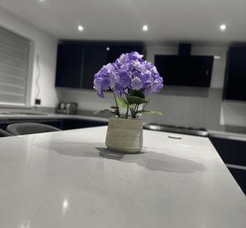 Colchester Apartment | 4 bed private home in Colchester