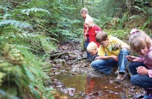 Pickering Cabin | 4 bedroom accommodation in Nr Pickering