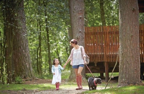 Pickering Cabin | 4 bedroom accommodation in Nr Pickering