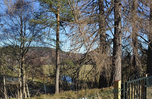 Carrbridge Cottage | 4 bedroom accommodation in Carrbridge