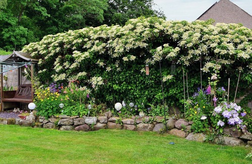 Wooler Cottage | 4 bedroom accommodation in Wooler