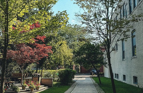 The Junction Bed & Breakfast | 4-bedroom bed & breakfast in peaceful Toronto
