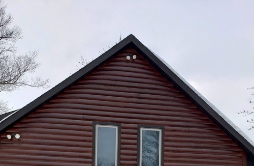 Remer Cabin | 4 bedroom cabin