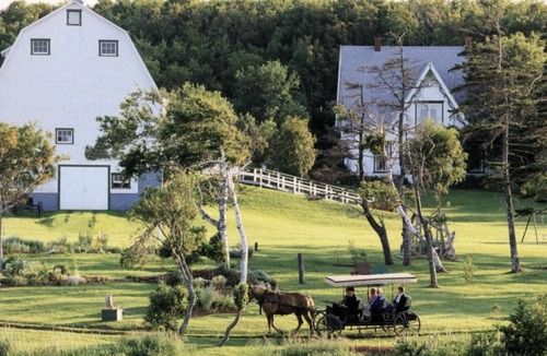 French River Cottage | 4 Bedroom Luxury Ocean View Beach House, Minutes To North Shore Beaches