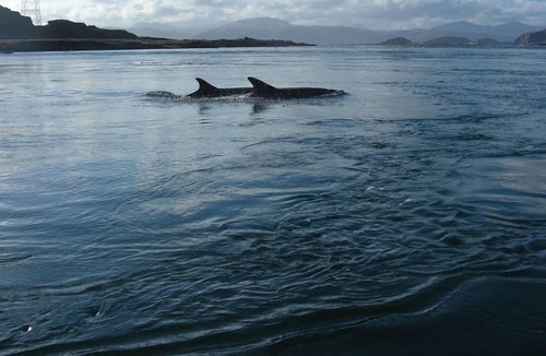 Slate Islands House | 4 berth holiday home on the Isle of Luing, near Oban
