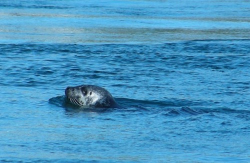 Slate Islands House | 4 berth holiday home on the Isle of Luing, near Oban