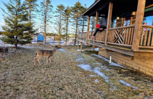Edray House | 4 BR: Timbers #1 Stand alone Cabin