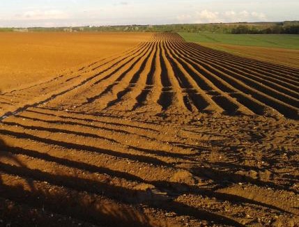 Tartiers House | 4 Joliette