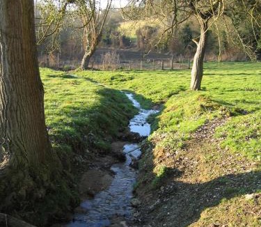 Tartiers House | 4 Joliette
