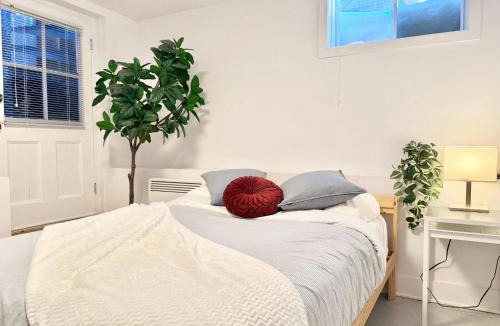 Saint-Sacrement Apartment | 4 Large Rooms City Centre