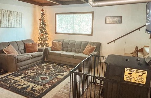 Cold Springs House | 4 Little Bears Cabin-WiFi/Arcade loft