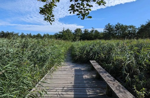 Frederiksvaerk House | 4 person holiday home in Frederiksværk-By Traum