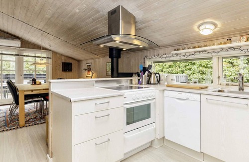 Fjerritslev House | 4 person holiday home in Fjerritslev-By Traum