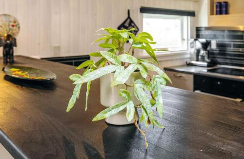 Vorupør House | 4 person holiday home in Thisted