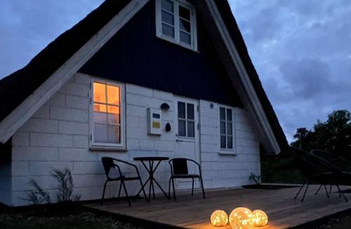 Lodbjerg Hede House | 4 person holiday home in Ringkøbing-By Traum