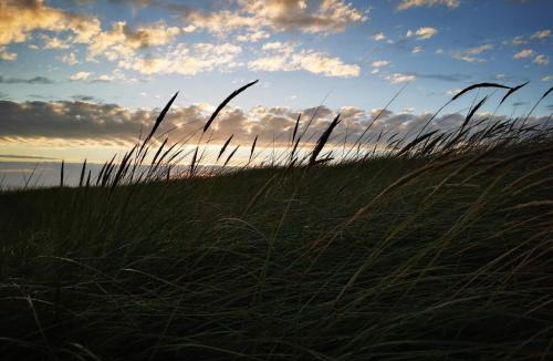 Blavand House | 4 person holiday home in Blåvand