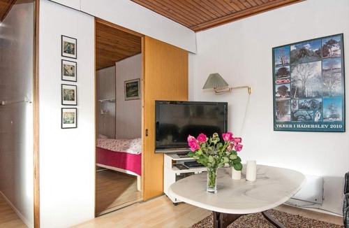 Aarosund House | 4 person holiday home in Haderslev