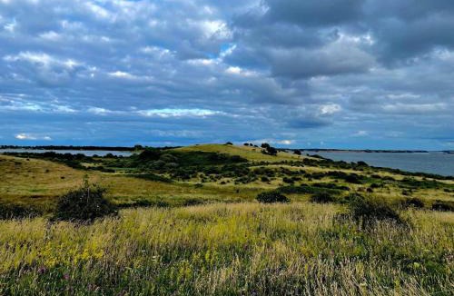 Martofte House | 4 person holiday home in Martofte