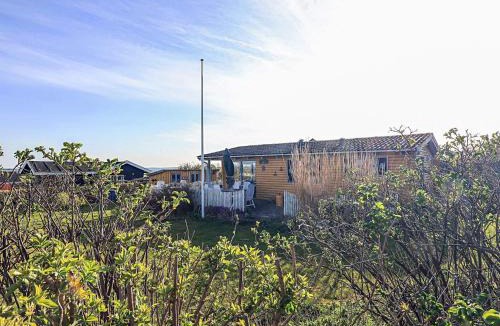 Skyum House | 4 person holiday home in Snedsted-By Traum
