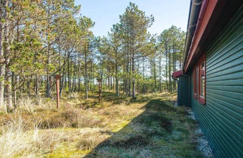 Sønder Vorupør House | 4 person holiday home in Thisted-By Traum