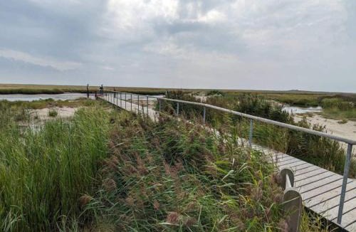 Sønderho House | 4 person holiday home in Fanø