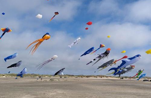 Rindby Strand House | 4 person holiday home in Fanø